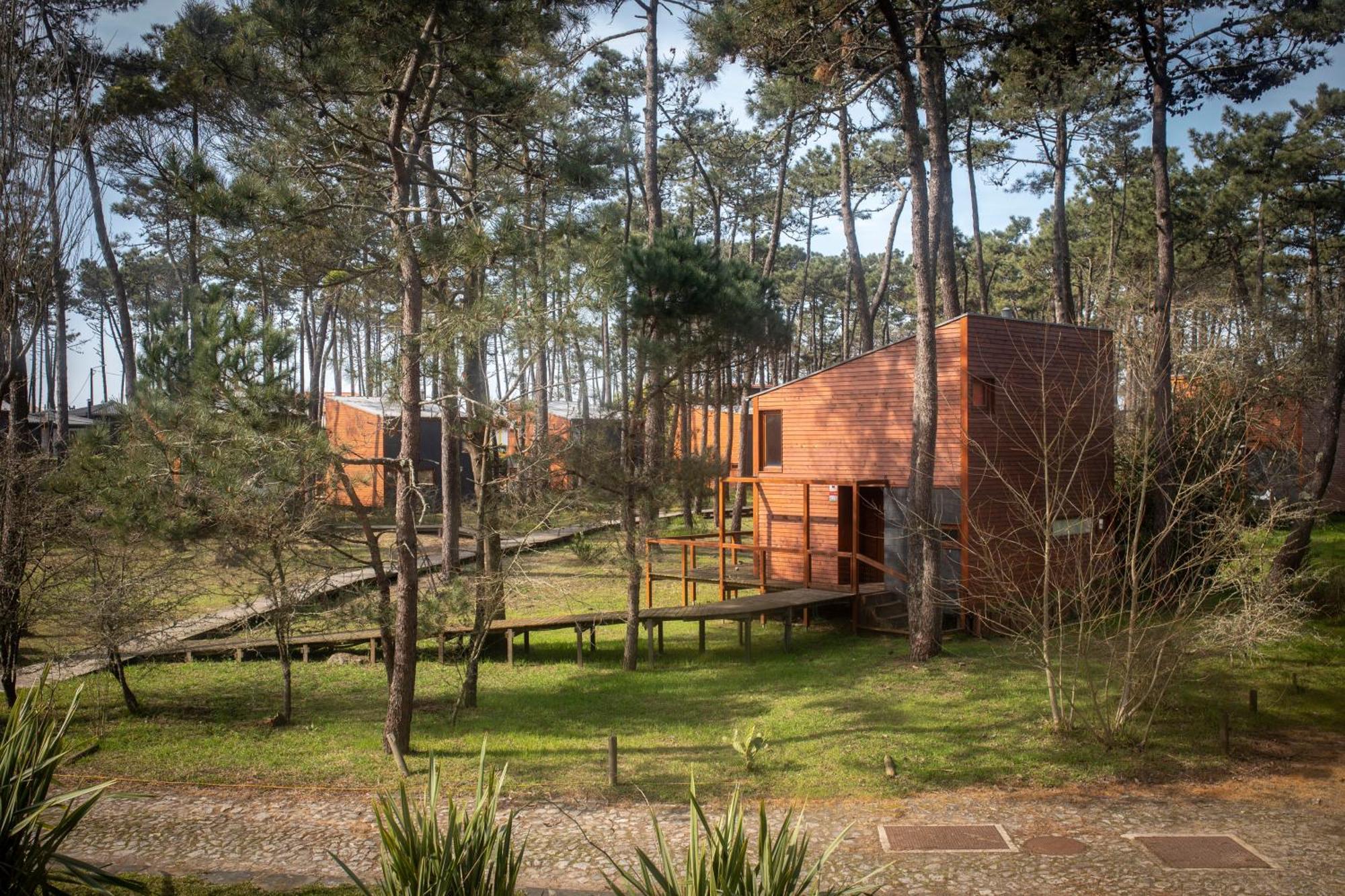 Bungalow B2 - Nature, Beach & River Ofir Dış mekan fotoğraf
