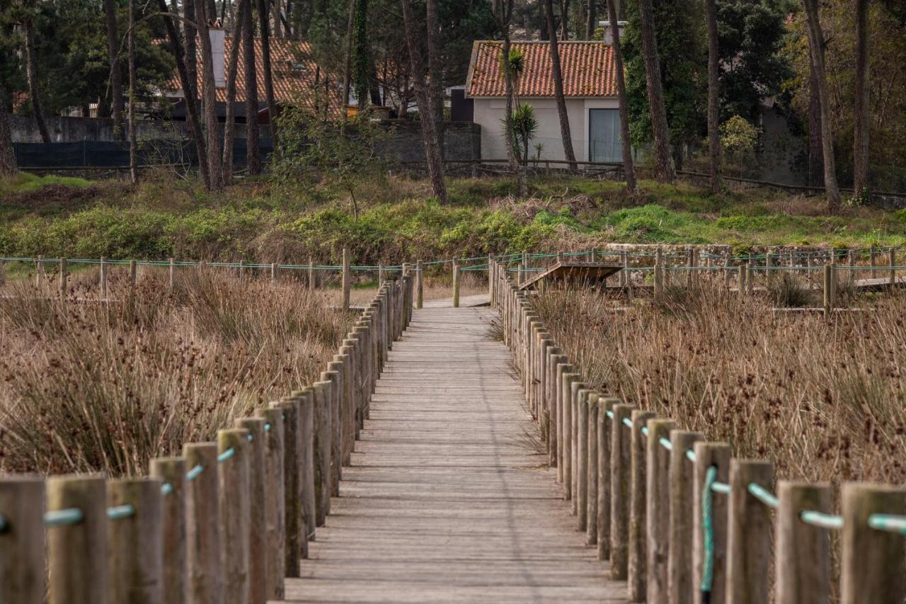 Bungalow B2 - Nature, Beach & River Ofir Dış mekan fotoğraf