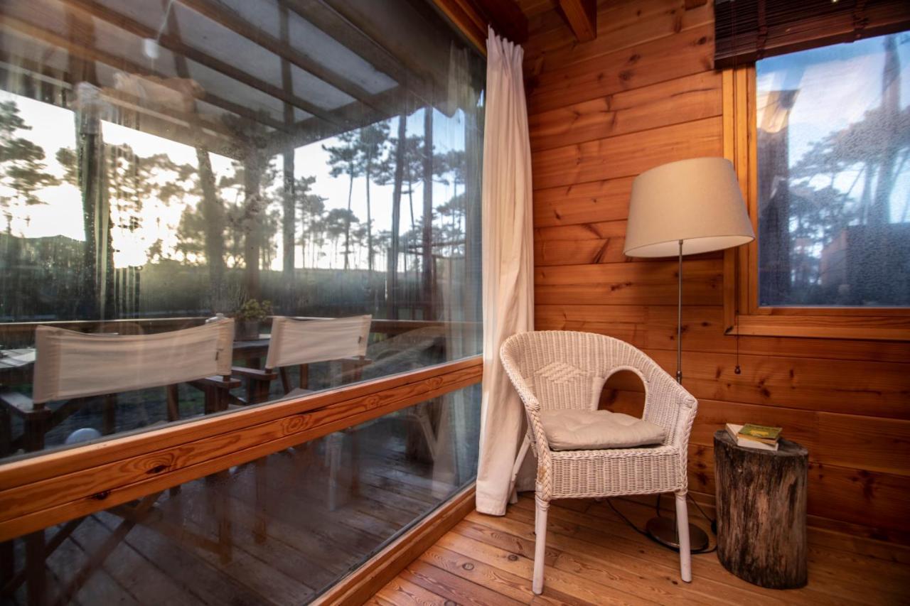 Bungalow B2 - Nature, Beach & River Ofir Dış mekan fotoğraf